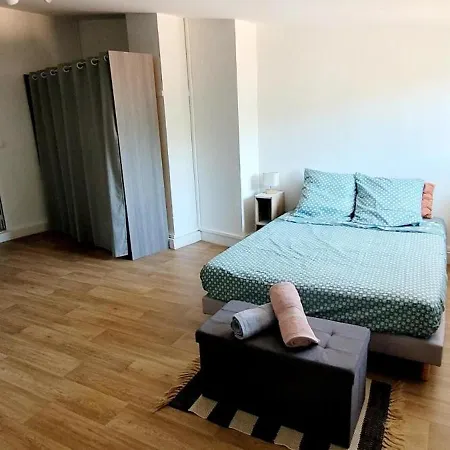 T4 Renove A 10 Min De La Cite * 卡尔卡松